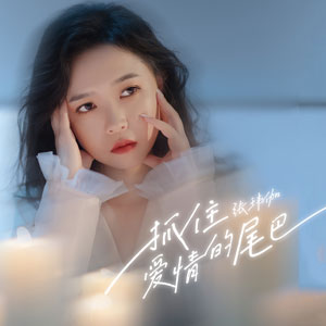 张玮伽全套专辑合集